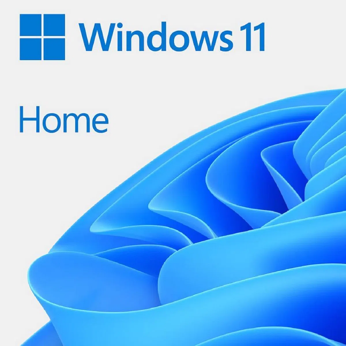 Microsoft Windows 11 Home System Builder for New PC