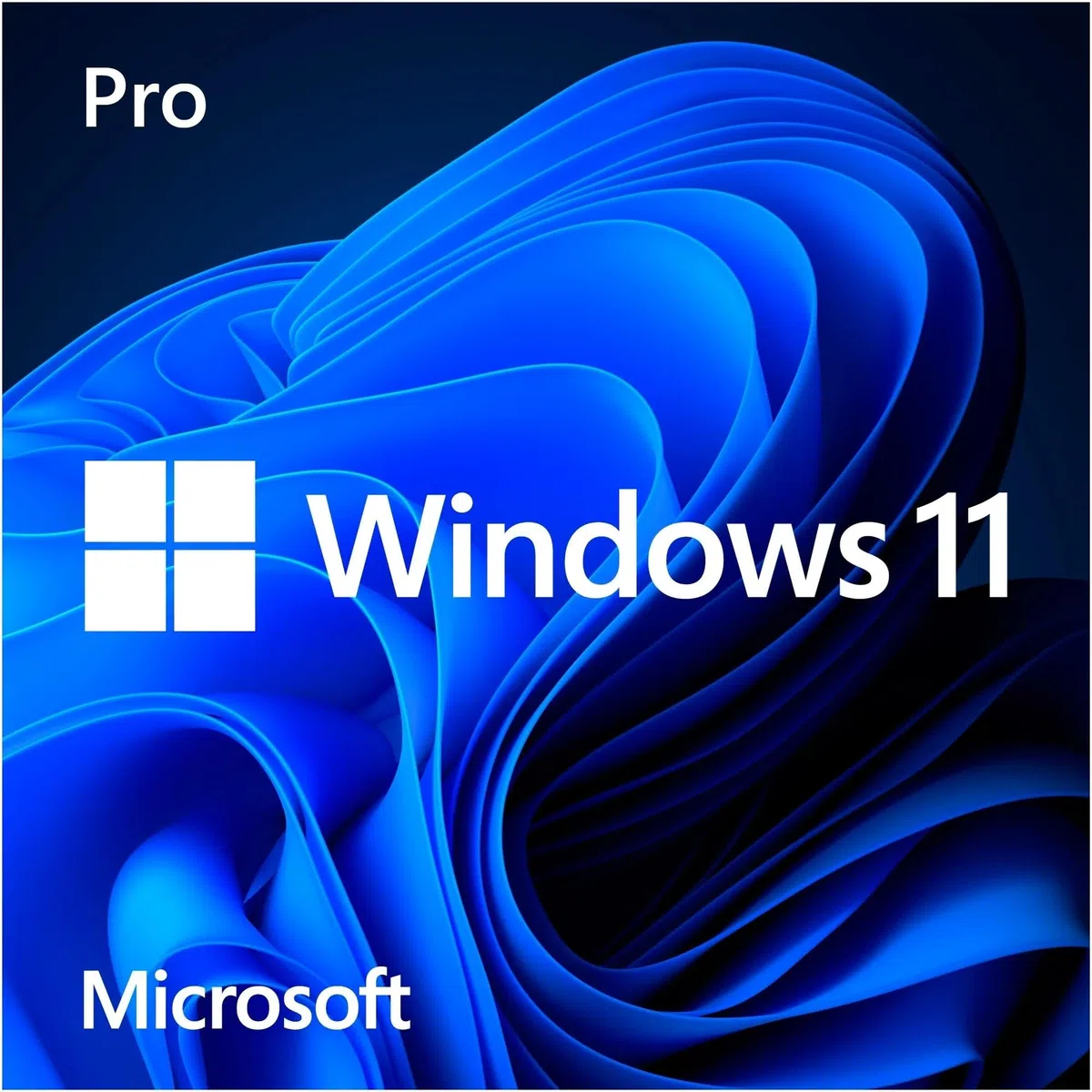 Windows 11 Pro - Licencia digital - Descarga
